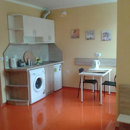 Apartament Central Place Studio *